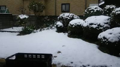 e0012580_15565449.jpg