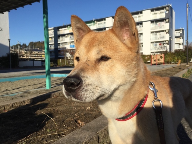 c0332184_10172224.jpeg
