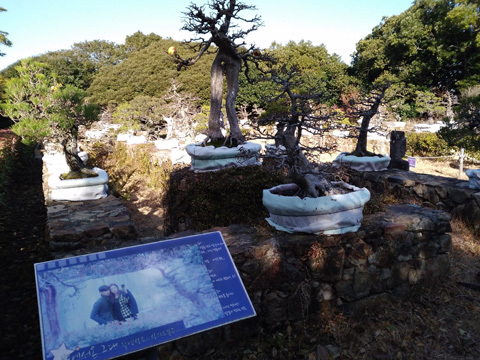 d0115985_13181459.jpg