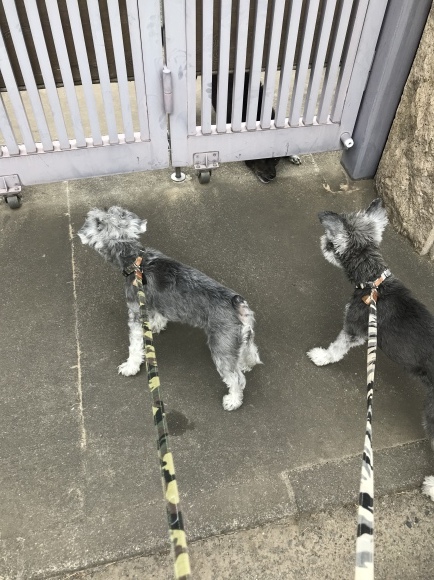 b0188998_13450286.jpeg