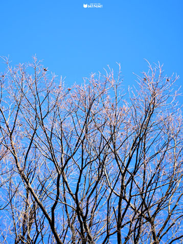 c0140599_12453770.jpg