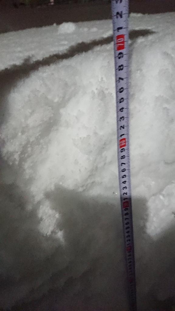 f0337700_00005562.jpg