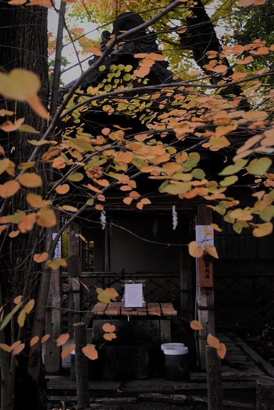 「梨木神社」京都2017秋の想出帖⑤_a0169902_15272756.jpg