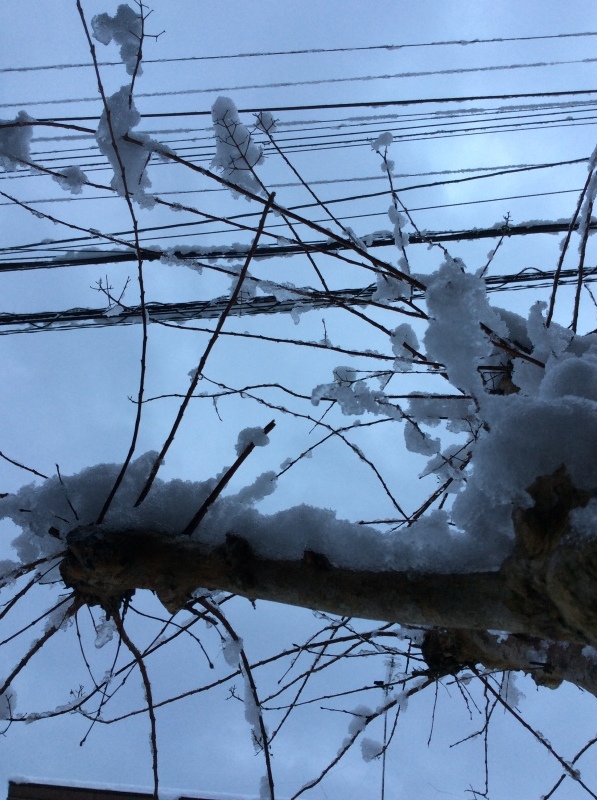b0220002_21280566.jpeg