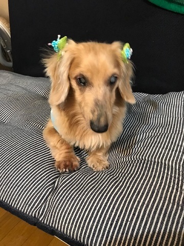 f0242002_01594409.jpeg
