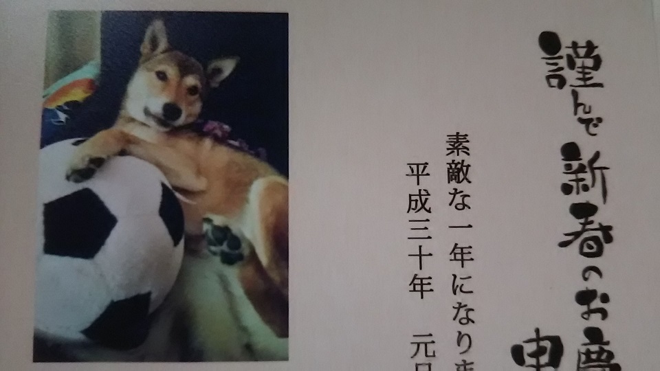 犬たち、幸せ賀状！－その１_f0242002_02180327.jpg