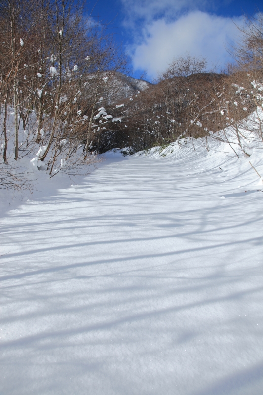 2018.01.13 お散歩（北泉ヶ岳・東尾根）_b0050305_11325378.jpg