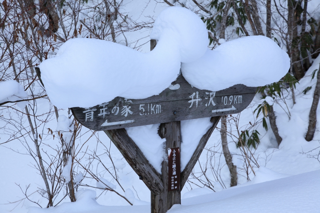 2018.01.13 お散歩（北泉ヶ岳・東尾根）_b0050305_11361684.jpg