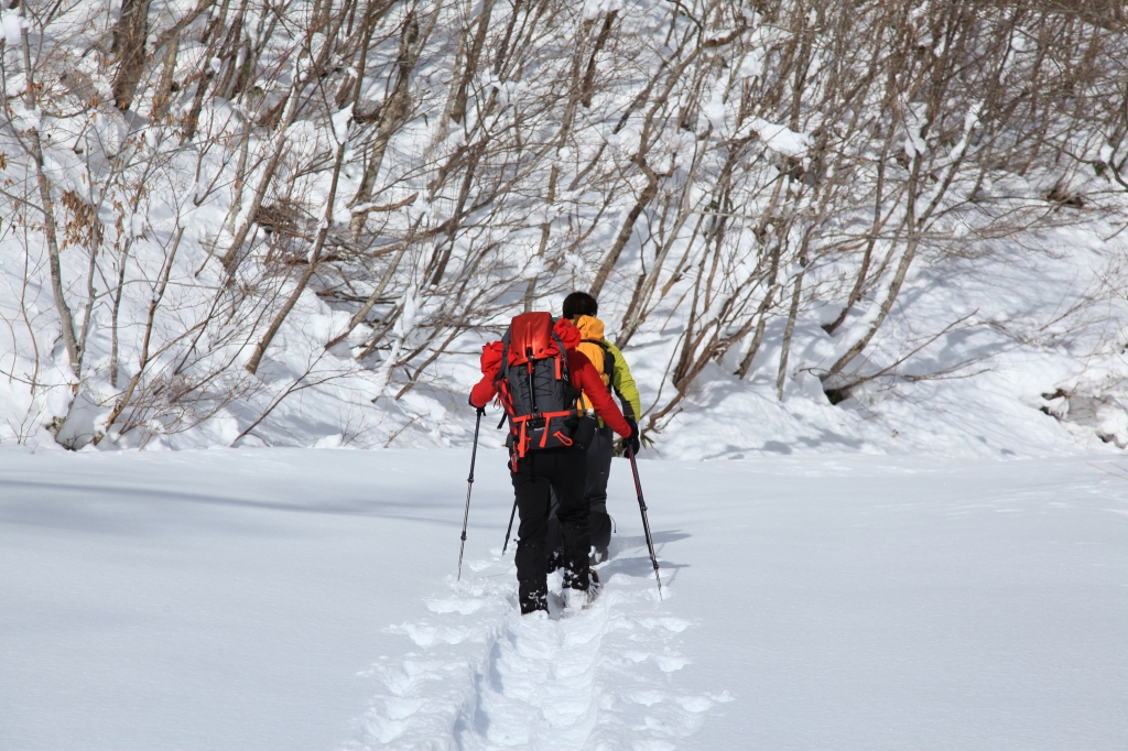 2018.01.13 お散歩（北泉ヶ岳・東尾根）_b0050305_11365662.jpg