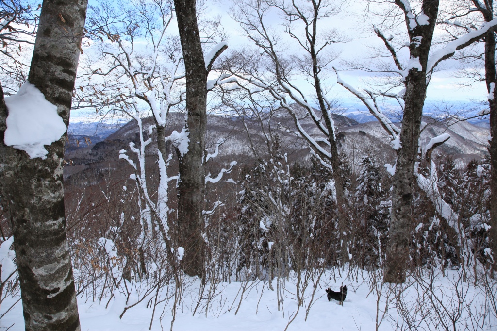 2018.01.13 お散歩（北泉ヶ岳・東尾根）_b0050305_11424247.jpg