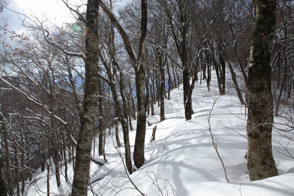 2018.01.13 お散歩（北泉ヶ岳・東尾根）_b0050305_1144346.jpg