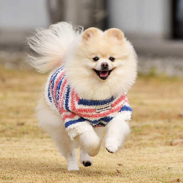 頑張って_d0360206_23461479.jpg