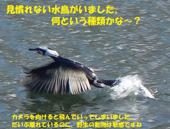 f0121712_07260836.jpg