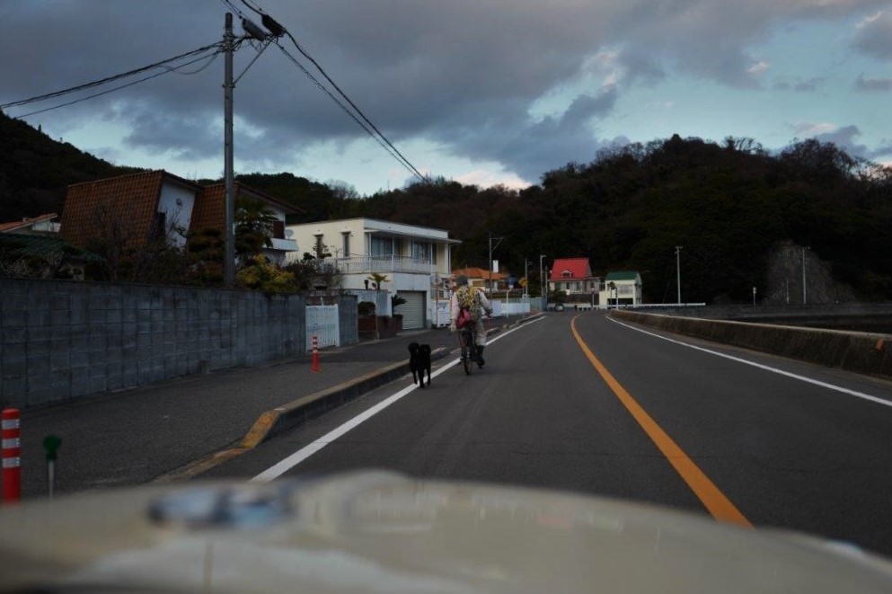 3.向島ドライブ（向島の店巡り）_f0365212_12315595.jpg