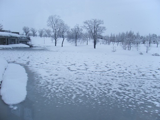 f0351315_15042011.jpg