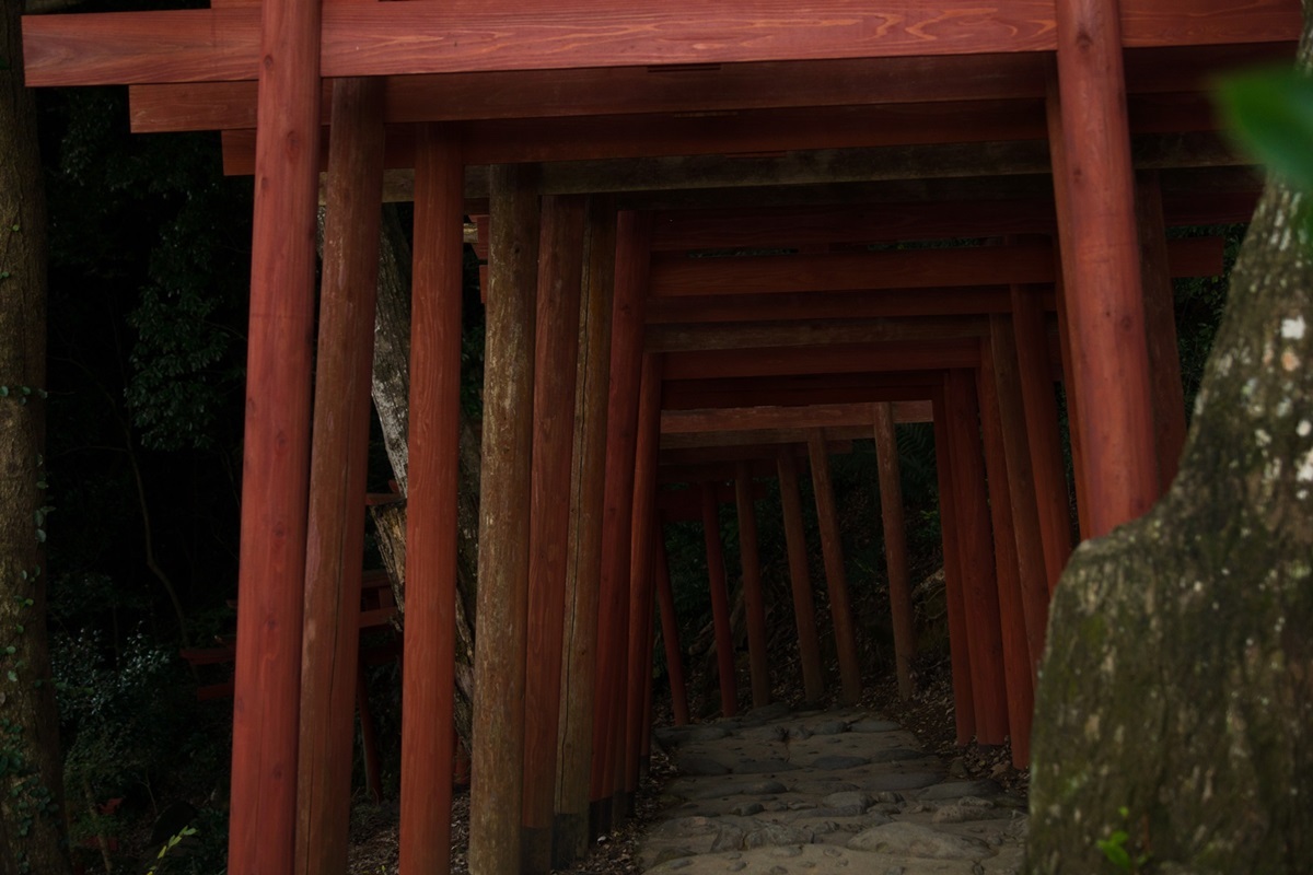 祐徳稲荷神社_e0346322_17061984.jpg