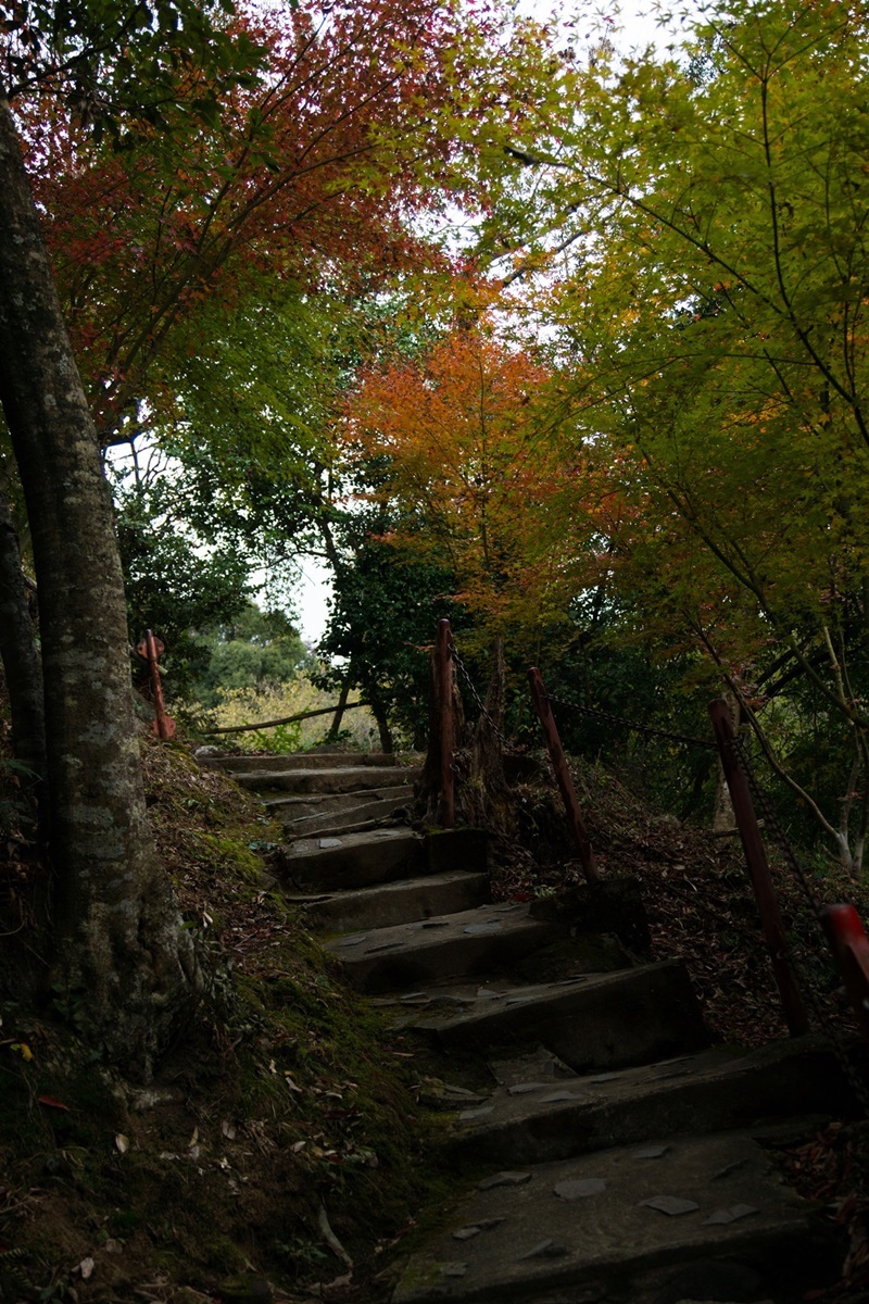 祐徳稲荷神社_e0346322_17062058.jpg