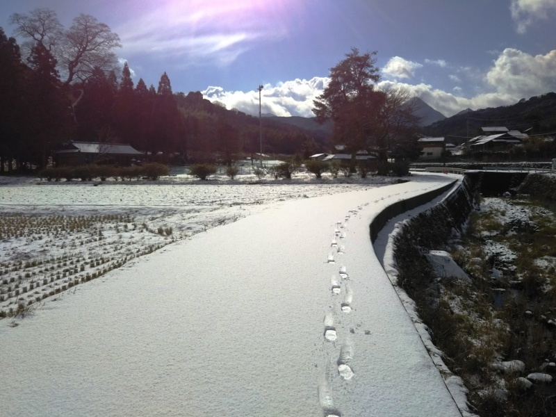 雪の散歩道_d0247023_00141618.jpg