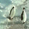 d0065324_235254.gif