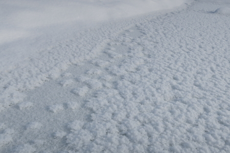 e0133025_11260917.jpg