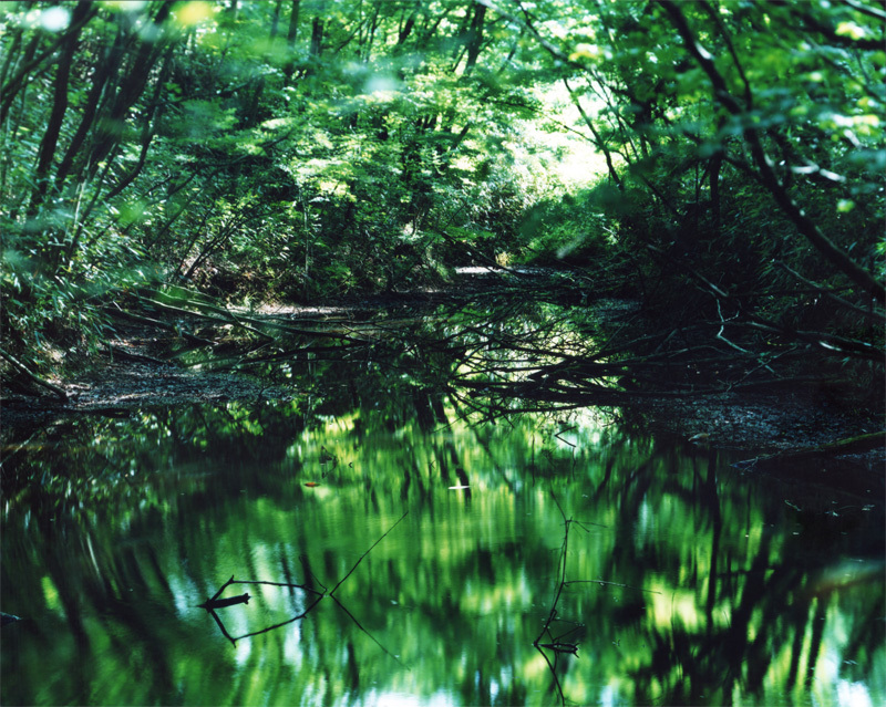 鈴木理策氏 展覧会「Water Mirror」_b0187229_11194041.jpg