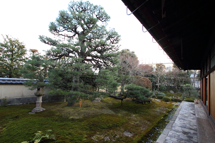 相国寺 －塔頭・慈照院（後編）－_b0169330_14212835.jpg