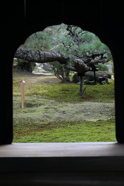 相国寺 －塔頭・慈照院（後編）－_b0169330_14584812.jpg