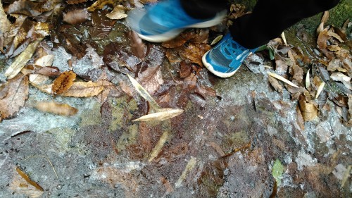 c0337631_20245515.jpg