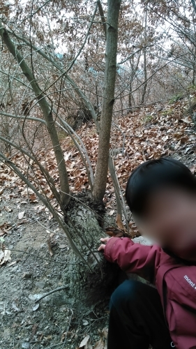 c0337631_20283455.jpg