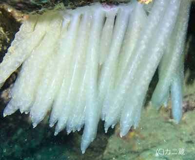 b0163039_15292456.jpg