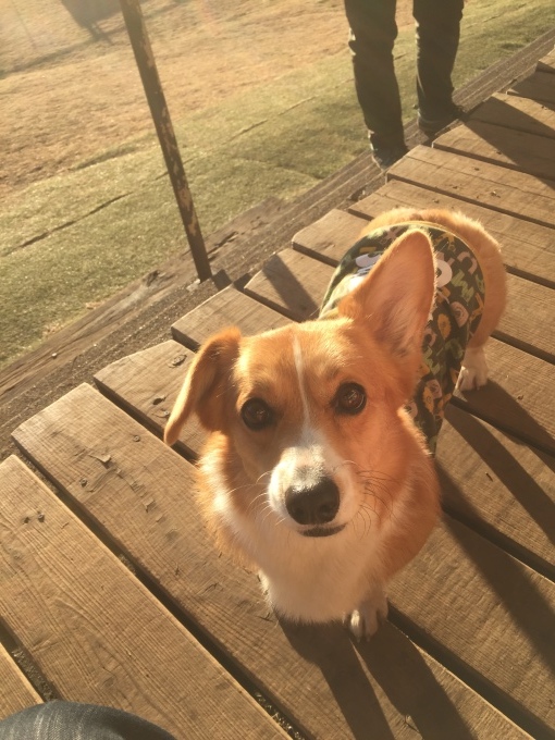 b0369239_18313899.jpeg