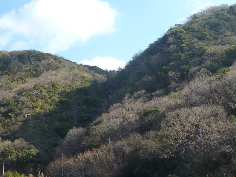 『菊水第2ルンゼと山の新年会』 _c0218841_11061119.jpg