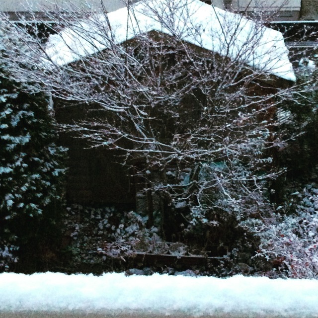 b0125443_16072690.jpeg