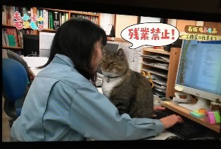 広島で注文住宅を建てる しおた工務店ブログ