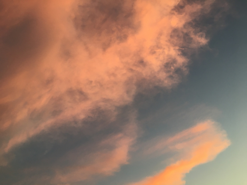 f0008449_17271667.jpg