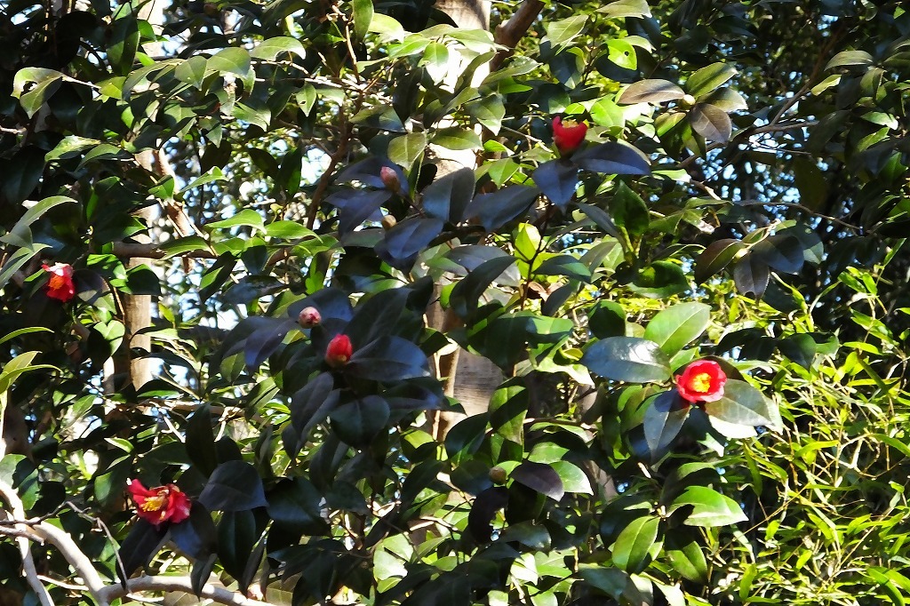 b0236251_11451945.jpg