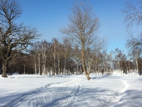 真駒内公園の広さを知る_e0326953_09484187.jpg