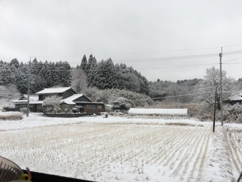 e0373658_13564693.jpeg