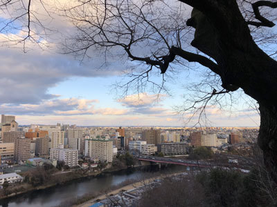 c0050264_22565626.jpg
