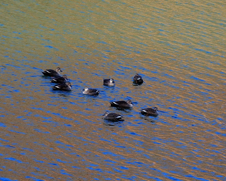 c0305565_17250762.jpg