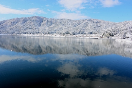 湖北の雪景色 メタセコイヤ並木 余呉湖 峰さんの山あるき 湖北の雪景色 メタセコイヤ並木 余呉湖 峰さんの山あるき