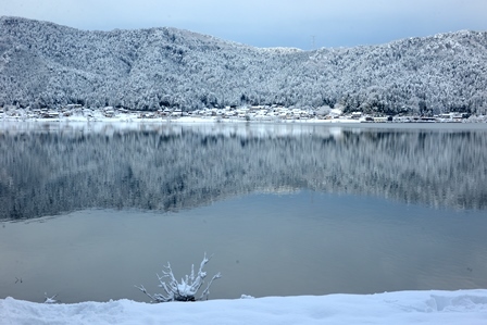 湖北の雪景色 メタセコイヤ並木 余呉湖 峰さんの山あるき 湖北の雪景色 メタセコイヤ並木 余呉湖 峰さんの山あるき
