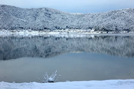 湖北の雪景色 メタセコイヤ並木 余呉湖 峰さんの山あるき