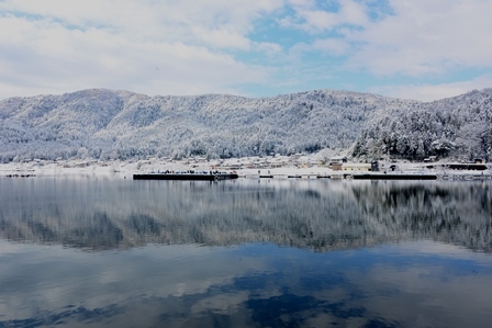 湖北の雪景色　　メタセコイヤ並木～余呉湖_c0303868_06581259.jpg