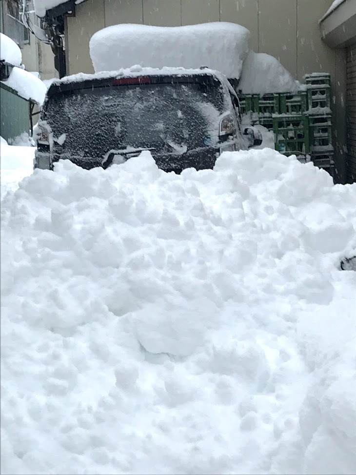 大雪が止まりません。(~_~;)_d0050871_11385945.jpg