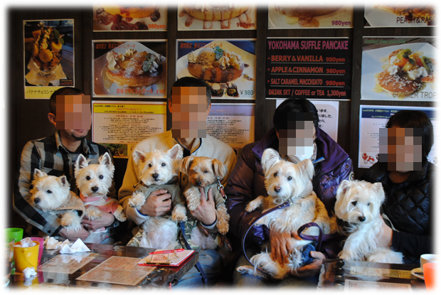 b0242873_23442394.png