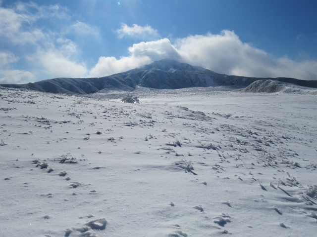 f0357487_16263690.jpg