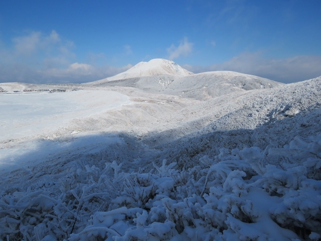 f0357487_16345165.jpg
