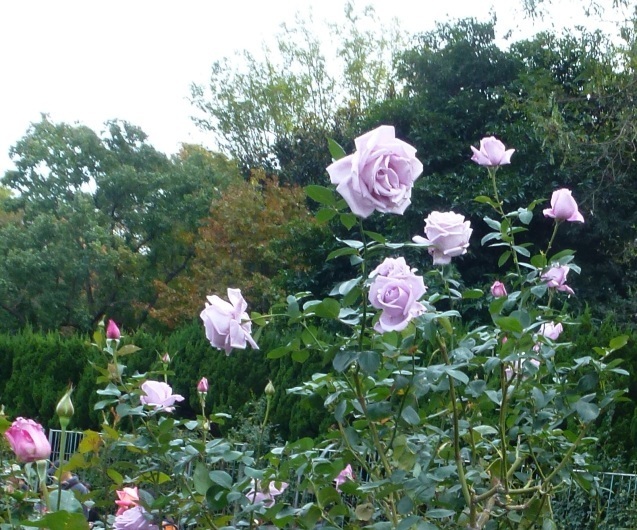 f0253789_05583933.jpg