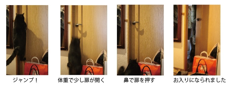 シャッターチャンスは突然に!_a0333195_09022514.jpg